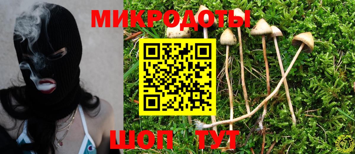 Псилоцибиновые грибы ЛСД Александров
